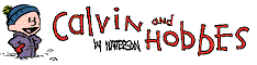 Calvin & Hobbs comics that were published daily from 1985-1989
